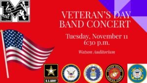 Vet concert slide
