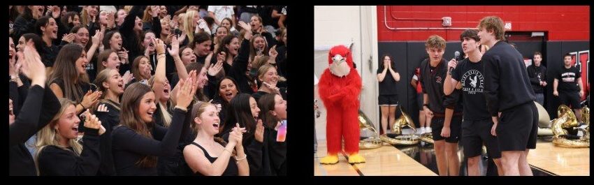 A four-panel collage of a Maine South high school pep rally showing a packed student section, four cheerleaders, cheering fans, and a red hawk mascot.